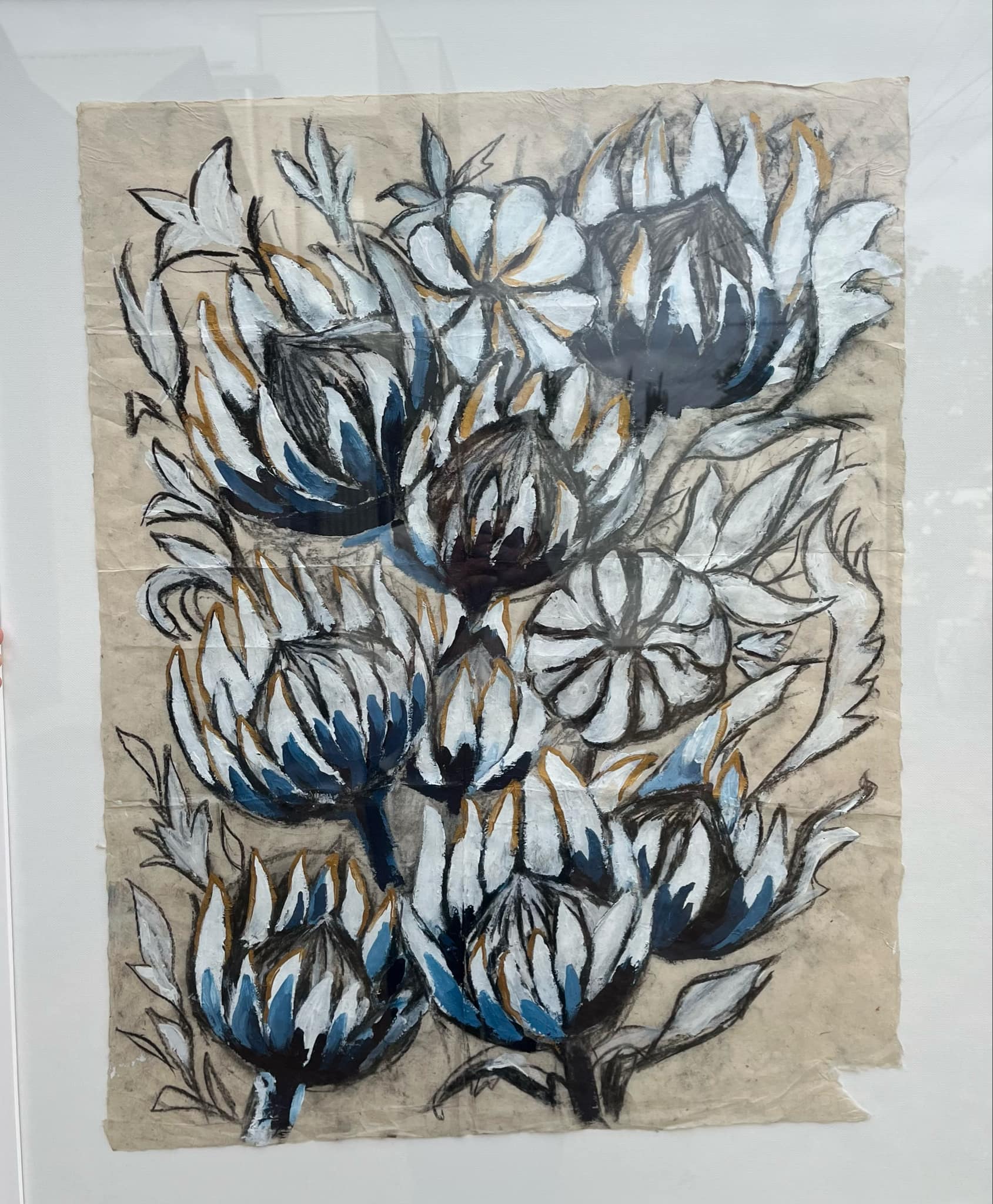 White Proteas